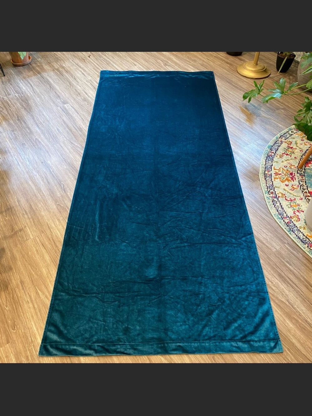 Plush Teal Velvet Panel Curtains & Matching throw pillow